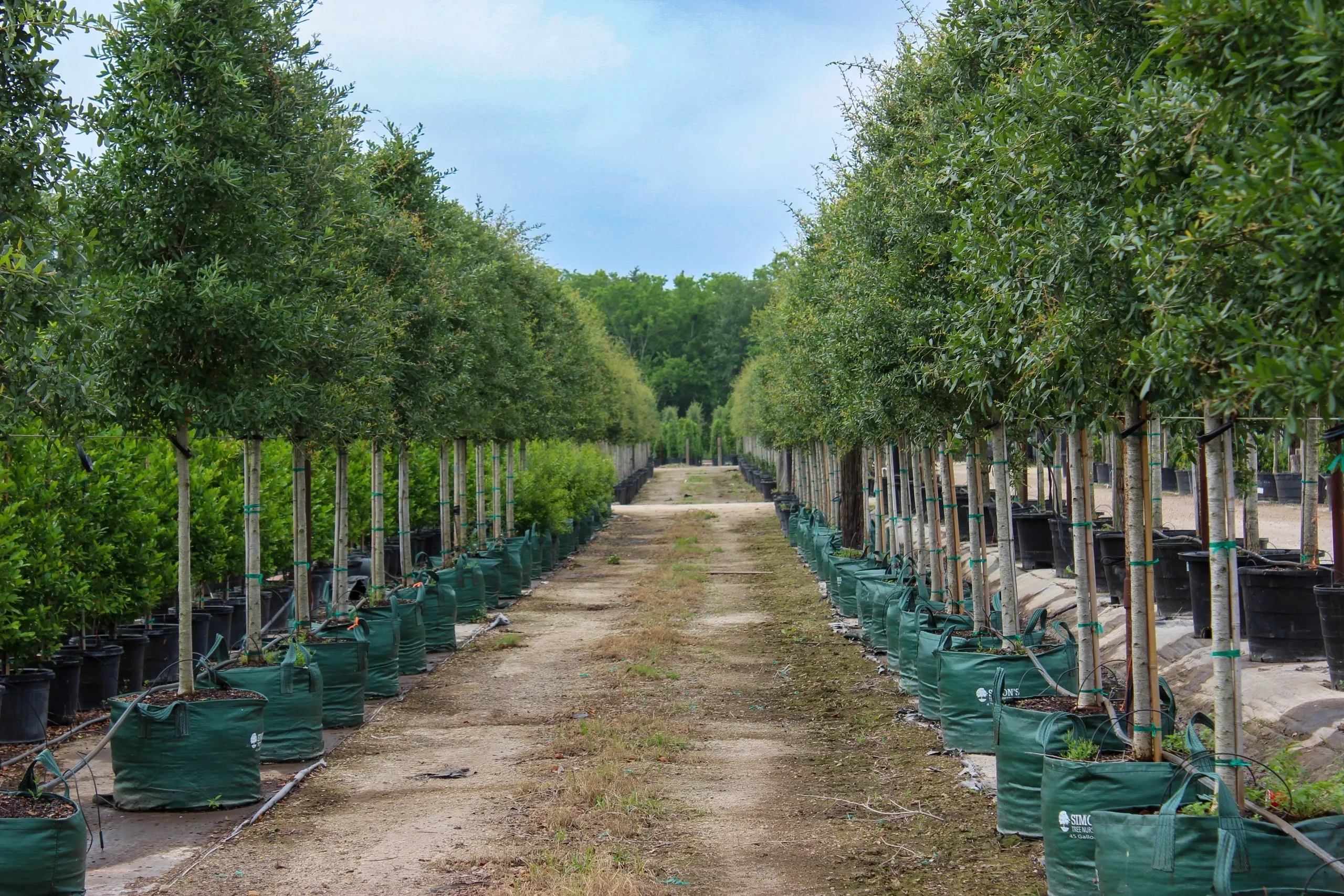 Nursery Operations Story
